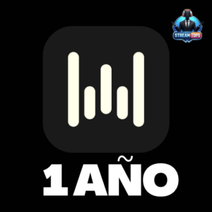 Wispr Flow Pro (12 Meses)
