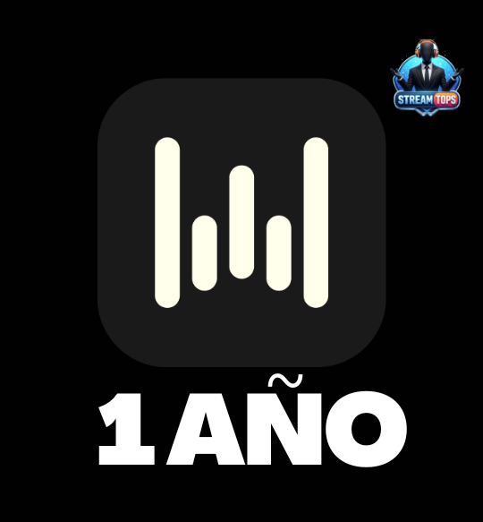 Wispr Flow Pro (12 Meses)